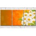 Картина Gallerix Chamomile and green leaves on an orange background (500618)