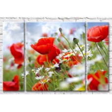 Картина Gallerix Chamomile and red poppies (500619)