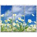 Картина Gallerix Chamomile on a sky background (500622)