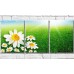 Pictură Gallerix Chamomile on a background of green grass (500625)