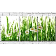 Картина Gallerix Chamomile on a background of green blades of grass (500626)