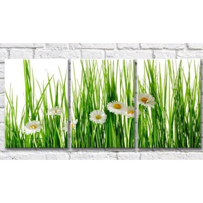 Картина Gallerix Chamomile on a background of green blades of grass (500626)