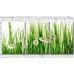 Картина Gallerix Chamomile on a background of green blades of grass (500626)