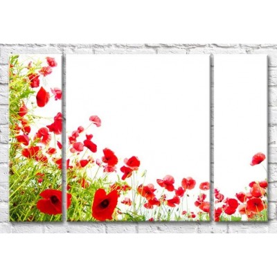 Картина Gallerix A scattering of red poppies on a white background (500638)