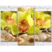 Картина Gallerix Light green orchid flowers on stones (500643)