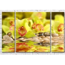 Картина Gallerix Light green orchid flowers by the water (500645)