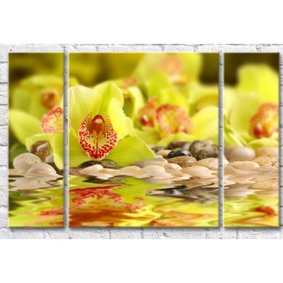 Pictură Gallerix Light green orchid flowers by the water (500645)