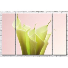 Картина Gallerix Light green calla lilies on a pink background (500646)