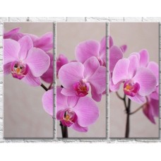 Картина Gallerix Light lilac orchids on a gray background (500647)