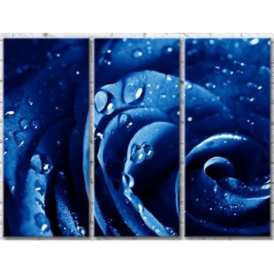 Pictură Gallerix Blue rose petals with dew drops (500654)