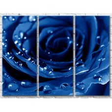 Картина Gallerix Blue rose with dew drops (500656)