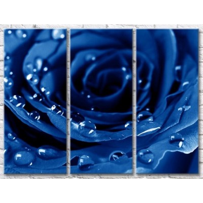 Картина Gallerix Blue rose with dew drops (500656)