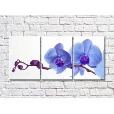 Картина Gallerix Lilac Orchid Branch (500657)