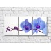 Картина Gallerix Lilac Orchid Branch (500657)