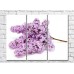 Картина Gallerix Lilac twig on a white background (500658)