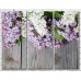 Картина Gallerix Lilac and white lilac flowers on a board background (500662)