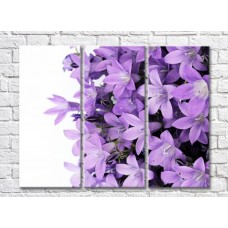 Картина Gallerix Lilac bells on a white background (500664)