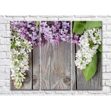 Pictură Gallerix Lilac on a gray plank background (500668)