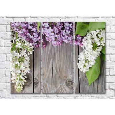 Pictură Gallerix Lilac on a gray plank background (500668)