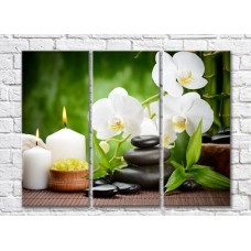 Pictură Gallerix Spa composition of sea salt stones and white orchid (500671)