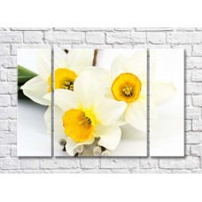 Картина Gallerix Three white daffodils with a yellow heart (500675)