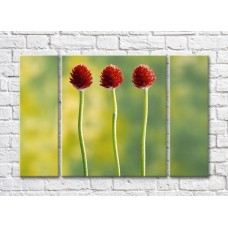 Картина Gallerix Three burgundy flowers on a green background (500676)