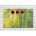 Pictură Gallerix Three burgundy flowers on a green background (500676)