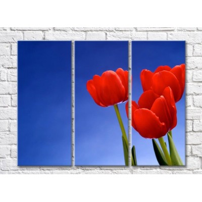 Картина Gallerix Three red tulips on a blue background (500677)