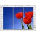 Картина Gallerix Three red tulips on a blue background (500677)