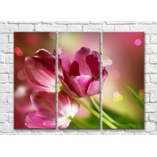 Картина Gallerix Three large flowers of pink tulips (500678)