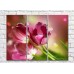 Картина Gallerix Three large flowers of pink tulips (500678)