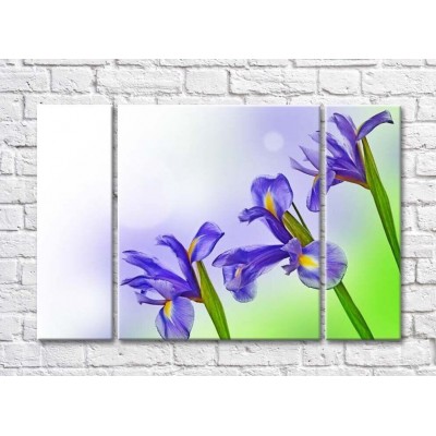 Картина Gallerix Three lilac irises (500679)