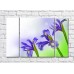 Картина Gallerix Three lilac irises (500679)