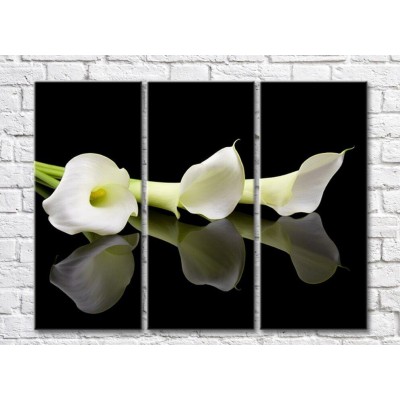 Картина Gallerix Three white calla lilies flowers on a black background (500680)