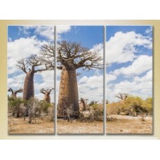 Pictură Gallerix Triptych of the Baobabs in the Savannah 01 (2181133)