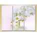 Pictură Gallerix Triptych White Orchid 02 (2699478)