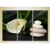 Pictură Gallerix Triptych White Calla Lilies 02 (2699546)