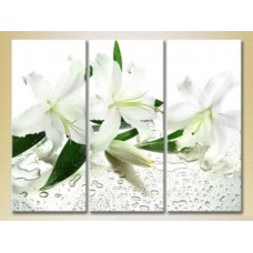 Pictură Gallerix Triptych White Lilies 02 (2699532)