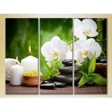 Pictură Gallerix Triptych White Orchids and Bamboo (2699535)