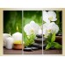 Pictură Gallerix Triptych White Orchids and Bamboo (2699535)