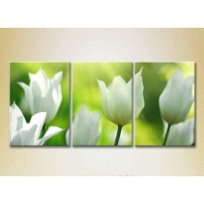 Pictură Gallerix Triptych White Tulips 01 (2699539)