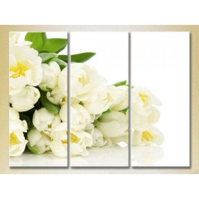 Pictură Gallerix Triptych Bouquet of white tulips (2699531)