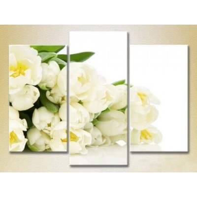 Картина Gallerix Triptych Bouquet of white tulips 02 (2699530)