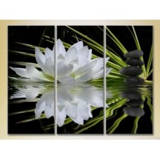 Pictură Gallerix Triptych Water lily and massage stones (2699524)