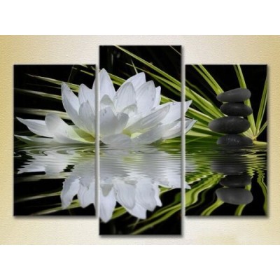 Картина Gallerix Triptych Water lily and massage stones 02 (2699519)