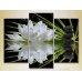 Картина Gallerix Triptych Water lily and massage stones 02 (2699519)