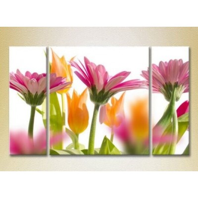 Картина Gallerix Triptych Gerbera (2699548)