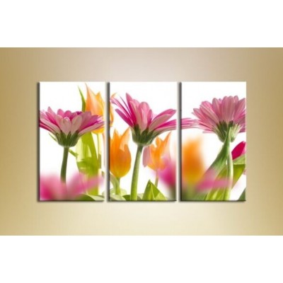 Картина Gallerix Triptych Gerbera Pink (1612536)