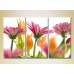 Картина Gallerix Triptych Gerbera 01 (2699560)