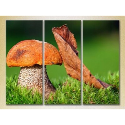 Картина Gallerix Triptych Mushroom and Leaf (2699525)